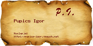 Pupics Igor névjegykártya